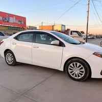 للبيع فقط السعر (145)وبيها مجال كورلا LE موديل 2016 بدون صبغ    بيها ت...