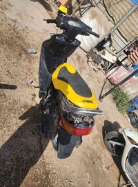 بابل قاسم • دراجة فراشة • فحل