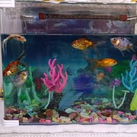 مرجوحة عش • حوض سمك