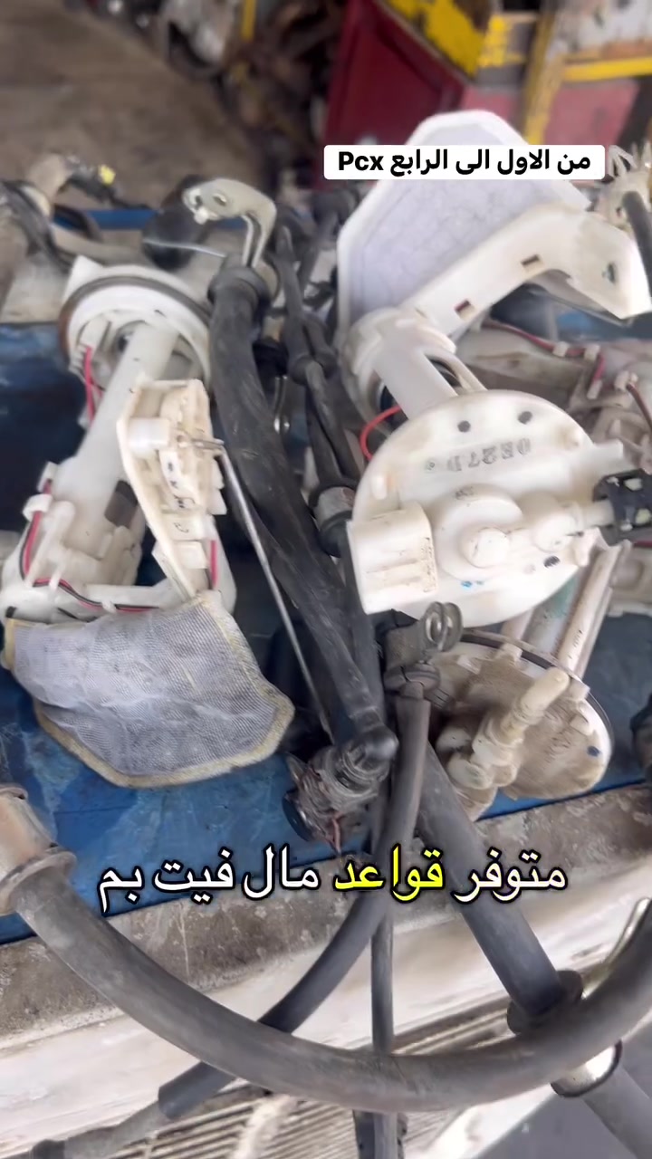 متوفر تفصيخ واغرض بي سي اكس من الاجيل الاول الى الربع


**إذا كنت صاحب هذا الإعلان وتريد حذفه لأي سبب، رجاءا أرسل رسالة إلى الدعم الفني**