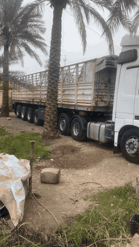 اكتروز للبيع راس وعربانه   ***********     !!!!! ***********
