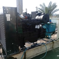 كمنز أمريكي أصلي 12والف مكفول من كلشي توليد بلادي 180كيفي رقمي 0773114...