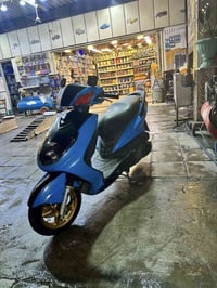 سكنس فحل  دراجه بلاد ٤٩ كهربايات شخاره كله دراجه ريد راوس سكنس جبلي لي...