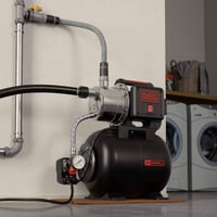 شمشمل السليمانية • جديد • أمازون