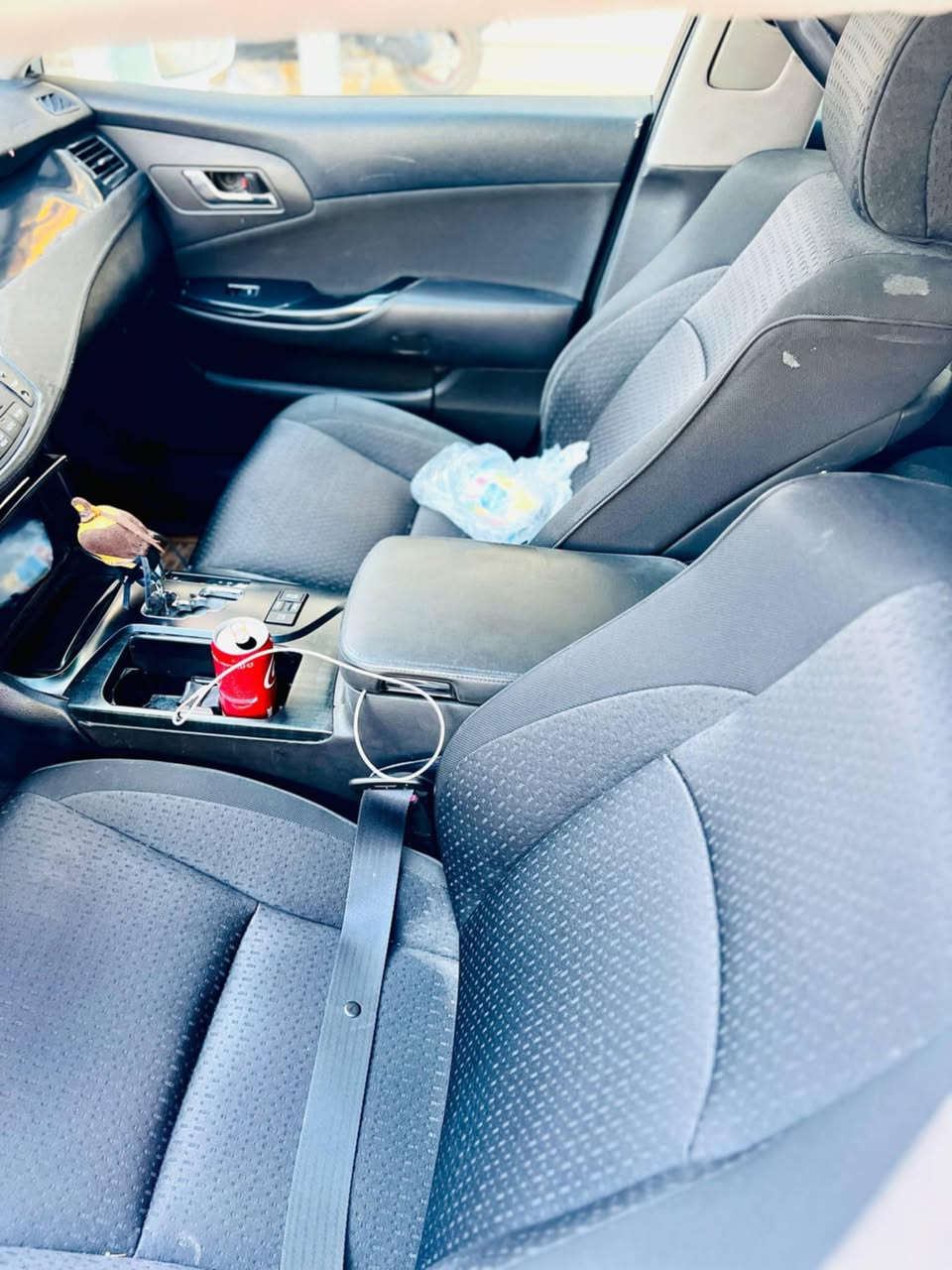 حوته كراون... مكصوصه... ٢٠٠٩
من ضمن السجيل.. سعر ٥٠ .... مكاني بصره قضاء لمدينه
***********
