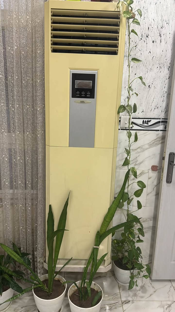 سبلت طنين ونصكلش نضيف شغال غاز الشركة بيه السعر 300 ألف ***********
