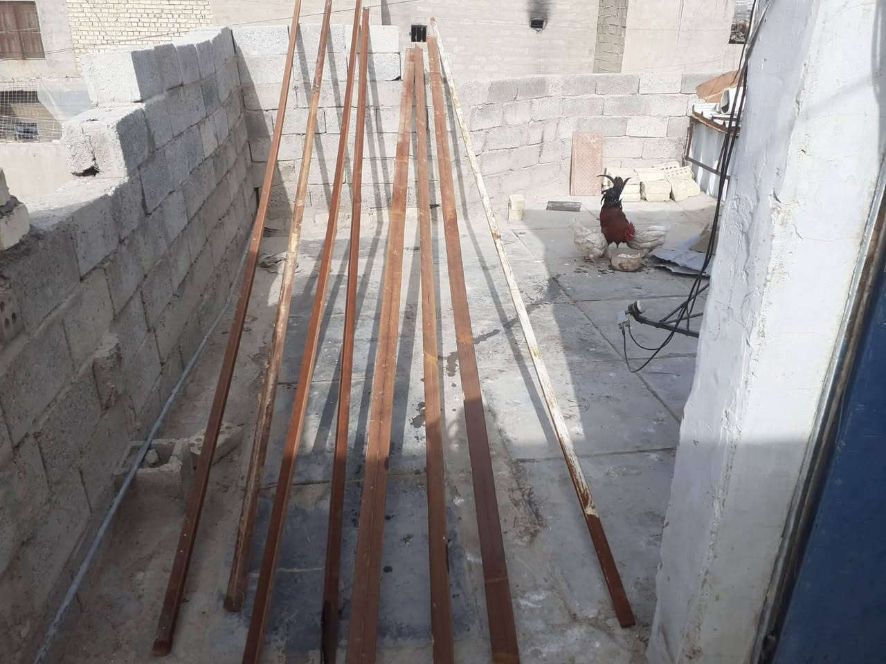 مكاني بغداد شعب سعر كلهن 90 طول 5 مترات تقريبا


**إذا كنت صاحب هذا الإعلان وتريد حذفه لأي سبب، رجاءا أرسل رسالة إلى الدعم الفني**