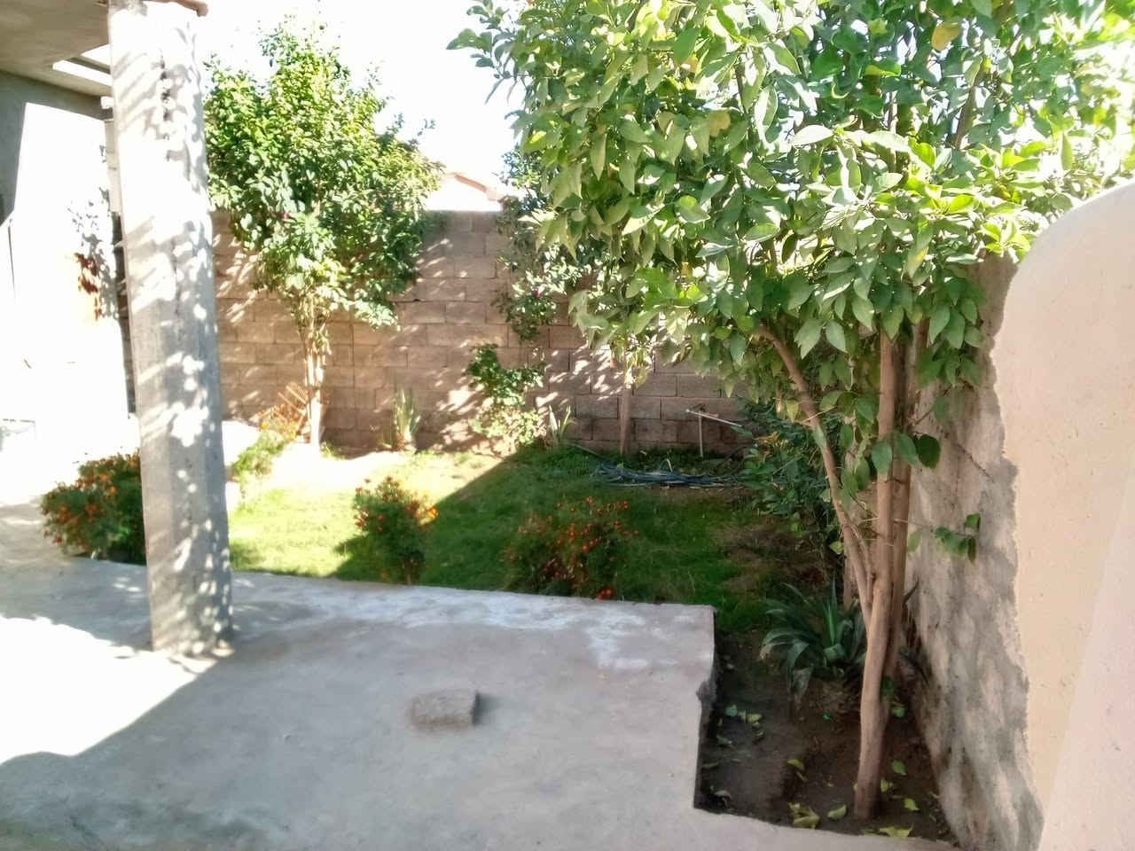 بيت للبيع المكان عرب الصين بالصديرة قريب على مولد اشرف الحميد
مساحتو 300 كامل من داخل ربعه ومجمع وغرفتين نوم مطبخ السعر30 يم جماعة رقم صاحب البيت ***********
