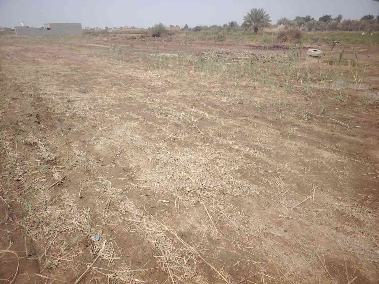 قطع 3   مساحه 750 العرض 25 ونص ونزال 28 متر  شارع 5 متر فرع ال بريع بره عبد لأمير ال صكر تبعد عن شارع  تبليط 100 متر السعر 17 ونص وبيه مجال بسيط لاستفسار ***********
