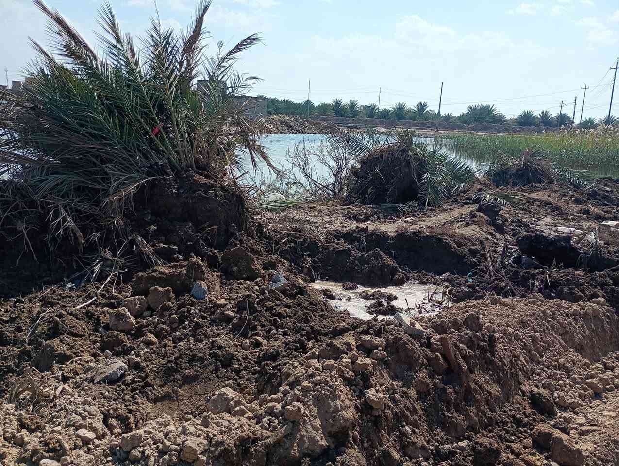 السلام عليكم
عندي هذا النخل شالعه الي يحتاجه يراسلني
***********
