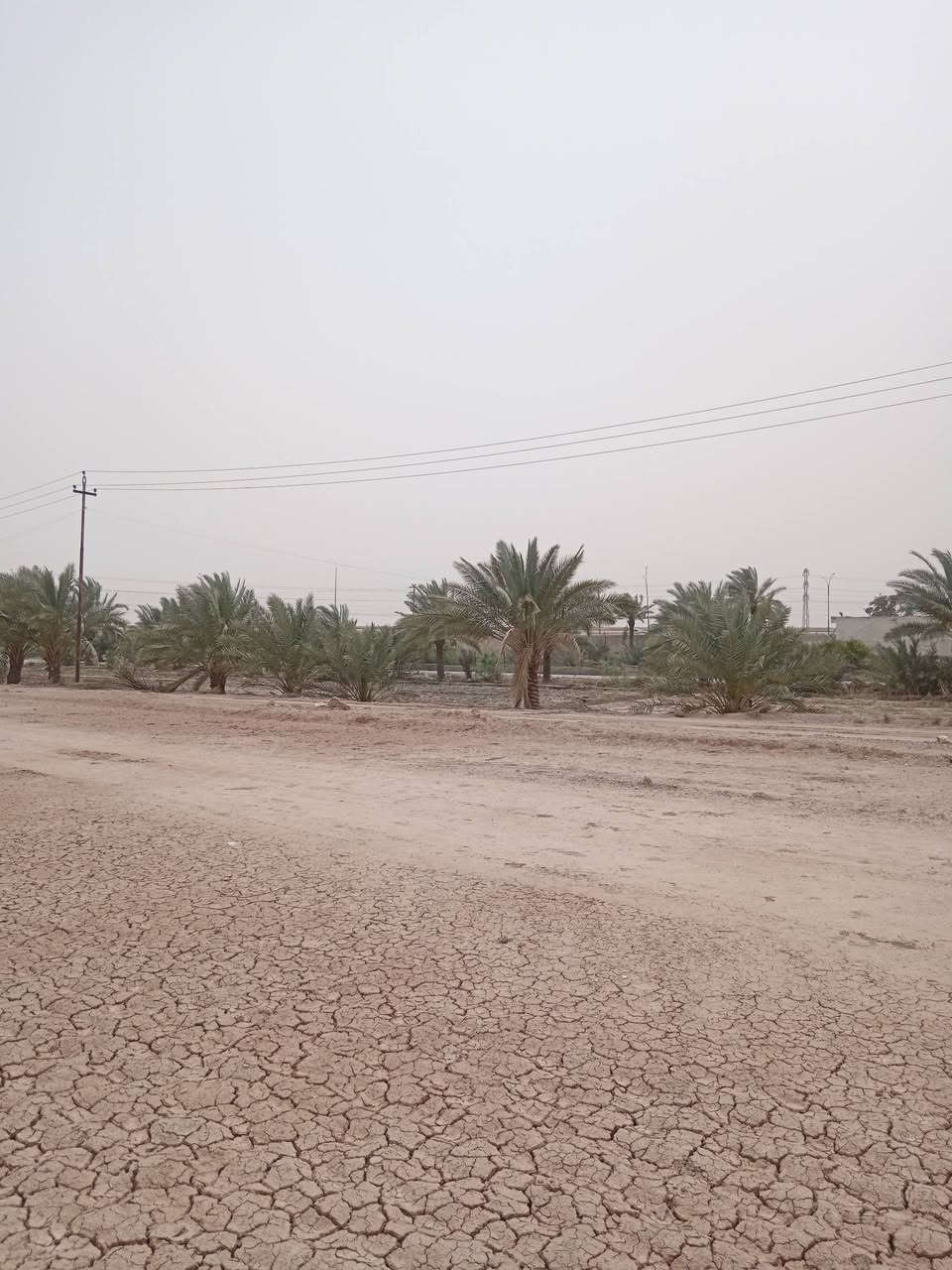 قطعه ارض للبيع المساحه دونم نوع العقار زراعي سند ٢٥ الوجه ٣٣ نزال ٨٣ شارع عرض ٨ متر واصله كافه الخدمات
العنوان جويبه خلف محطه غصن الزيتون يبعد عن الشارع العام ١٠٠ متر الاستفسار أكثر *********** حارث مؤيد بريش 
قطعه ارض للبيع المساحه دونم نوع العقار زراعي سند ٢٥ الوجه ٣٣ نزال ٨٣ شارع عرض ٨ متر واصله كافه الخدمات
