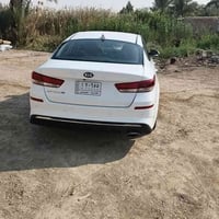 ورد امريكي مكفوله بله ضرر بس بنيد 07736015476