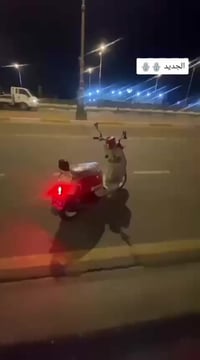 بوليس • ٢٠٠٧ • ٥٥