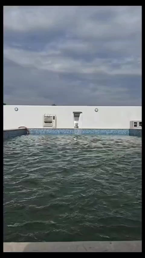 عروض افتتاح استراحتنا بدأت 🌿
أجواء عائلية + مسبح + خصوصية تامة
لفترة محدودة فقط 🤍
📞 للحجز راسلونا خاص
***********
***********
#النجف  
#النجف_الأشرف
