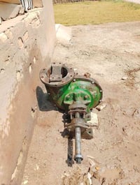 خنزيره • ٨ب١٠ • مجفته وكامله