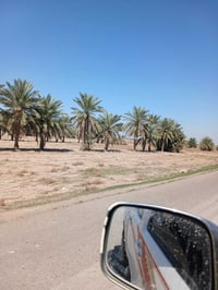 دونم • النساف شارع البوصالح • مي وكهرباء وسكن