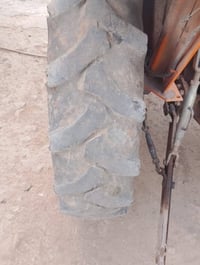 جوز كاوتش • صني