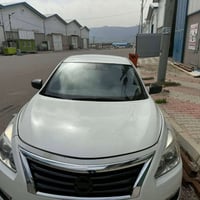 التيما • ٢٠١٣ • السليمانية