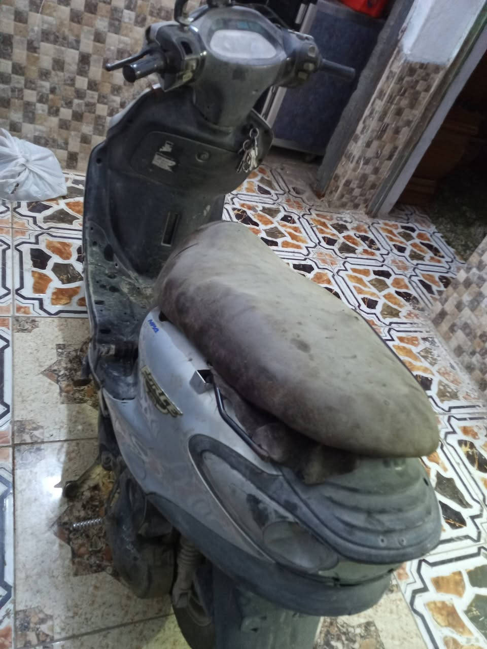 دراجه للبيع دولفين فراشه العنوان سماوة الجربوعية الثانية


**إذا كنت صاحب هذا الإعلان وتريد حذفه لأي سبب، رجاءا أرسل رسالة إلى الدعم الفني**