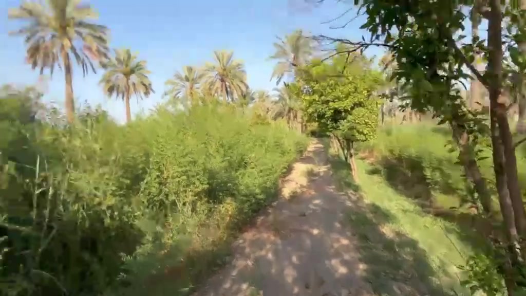 ⚪🔴 اعلان رقم 40 🔴⚪
بستان 4000 متر
طابو ملك صرف للبيع 
واجهة من جهة المستشفى 35 متر ومن الجهة ثانية كذالك
 طريق البستان بالمرتسم الاصلي 6 متر مع نهر مثبت بخارطة ترسيم حدود
مزروعة برحي بريم وأفضل أصناف النخيل وحمضيات ورمان وتفاح وتين مرتبة ع الاخير  
طابو ملك صرف 
سعر 250 وبيها مجال بسيط
العنوان محافضة واسط قضاء الصويرة 

 للاستفسار اكثر مراسلة الصفحة الرائد للاستثمار العقاري 
او الاتصال على الارقام 

*********** احـمـد العباسي 
*********** مؤمل احسان 
 
 "الرائد ثقتكم الدائمة واستثماركم الناجح "
