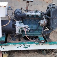 مولد لستر انكليزي • 4بستم • ١٧كيفي