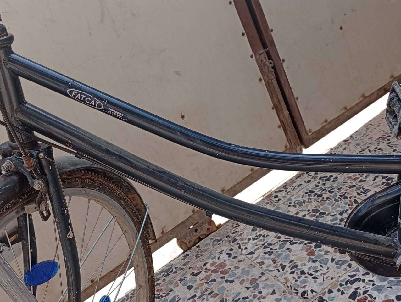 السلام عليكم بايسكل بناتي حجم 26 السعر 85 وبي مجال قليل البايسكل نضيف حيل اذا شراي طب خاص مكاني بغداد بسمايه


**إذا كنت صاحب هذا الإعلان وتريد حذفه لأي سبب، رجاءا أرسل رسالة إلى الدعم الفني**