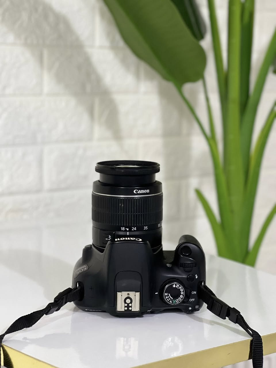 فرۆشتنی خێرا و خوار نرخی بازاڕ

Canon 1200D 
لێنز 18-55 
وەک لۆکە 
شەحن 
پاتری
نرخ 149 دۆلار
گەیاندن هەیە ✅


**إذا كنت صاحب هذا الإعلان وتريد حذفه لأي سبب، رجاءا أرسل رسالة إلى الدعم الفني**