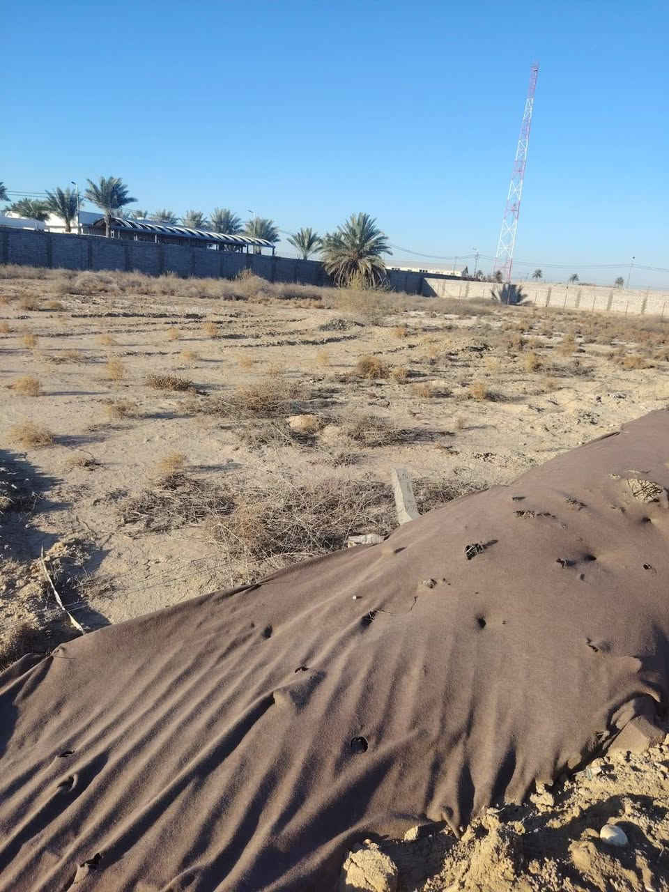 دونمين طابو صرف زراعي 25 خلف الجامعه المستقبل التاجيه بابل باسم شخص واحد موجود مي وكهرباء تبعد عن شارع حله نجف 400متر الشراي يتفضل *********** خاص
