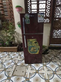 ثلاجه • شغاله • شهربان