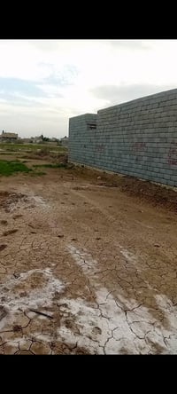 قطعة للبيع • ٣٠٠م • حجي ابو الطيف