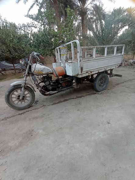 ستوته للبيع سنويه ورقيه مجفته توني رايدها ٤٠٠ وبيها مجال قليل عوزها ترتيب الاتصال على الرقم *********** المكان بابل الشوملي
