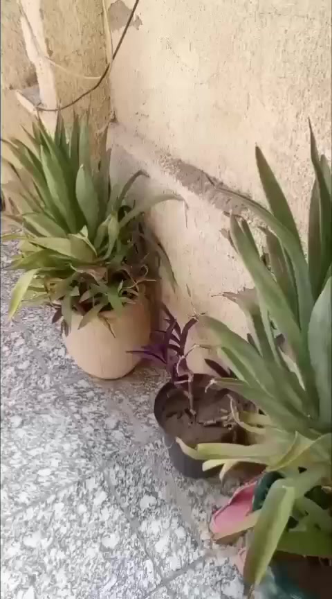 السلام عليكم
يتوفر لدينا دارللبيع المساحة ١٢٠متر طابو صرف منطقة سويب خلف مدرسه البسمله يحتوي على ٣غرف نوم واستقبال وصاله ومطبخ وخدمات الاستفسار على الرقم *********** واتساب
