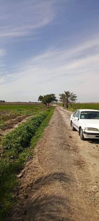 5 دوانم لأصحاب الإمكانية القليله السعر 8 مليوم للدونم تبعد عن مرقد بنا...
