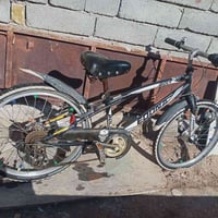 باسكل جبلي • ياباني • حجم ٢٢