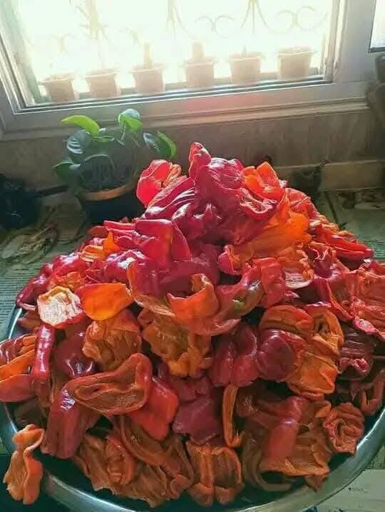 عم ناخد تواصي .للمكدوس
ع قوله ستي ترويجه 🤗 
بتنجان جاهز للحشي . 
فليفله ناشفه جاهزه للحشي .حلو وحد ووسط 
وتشريش فليفله ....
موجوده بجبله المدينه 
للحجز 
0947838087


**إذا كنت صاحب هذا الإعلان وتريد حذفه لأي سبب، رجاءا أرسل رسالة إلى الدعم الفني**