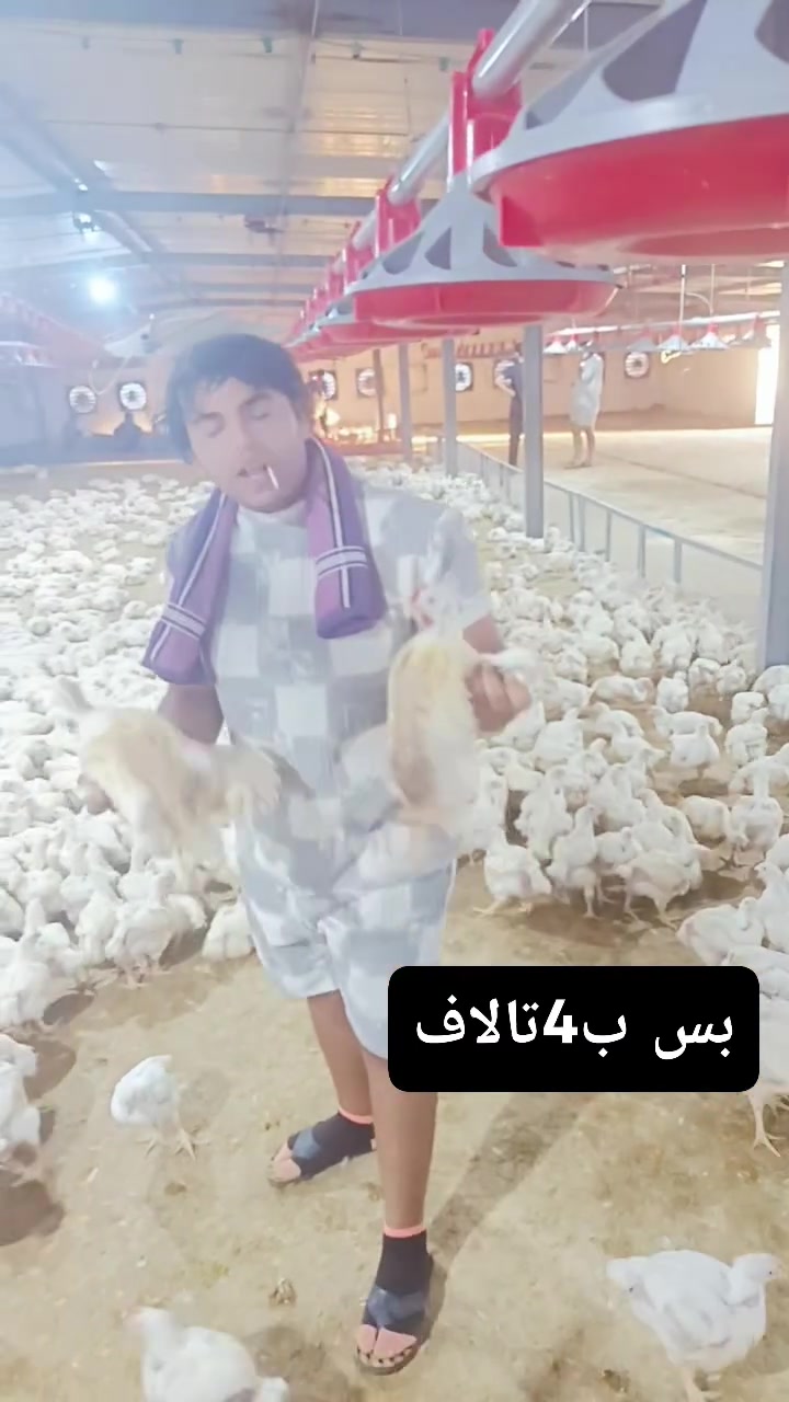 مستعدون لتجهيز أهل المواكب وأهل الثوابات وبانسب السعار دجاجه ب 4تالاف ذبح وشك وتكطيع مجاني مكان المحل شارع أربعين مقابل سوك المسكوف كبال اكسسوارات حجي مؤيد ***********
