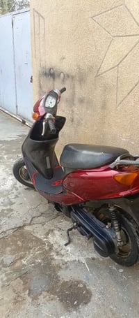 عصفوريه مكفوله كله شغاله مراوس مع بيكم  أو بيجي مكاني بغداد جديده رقم ...