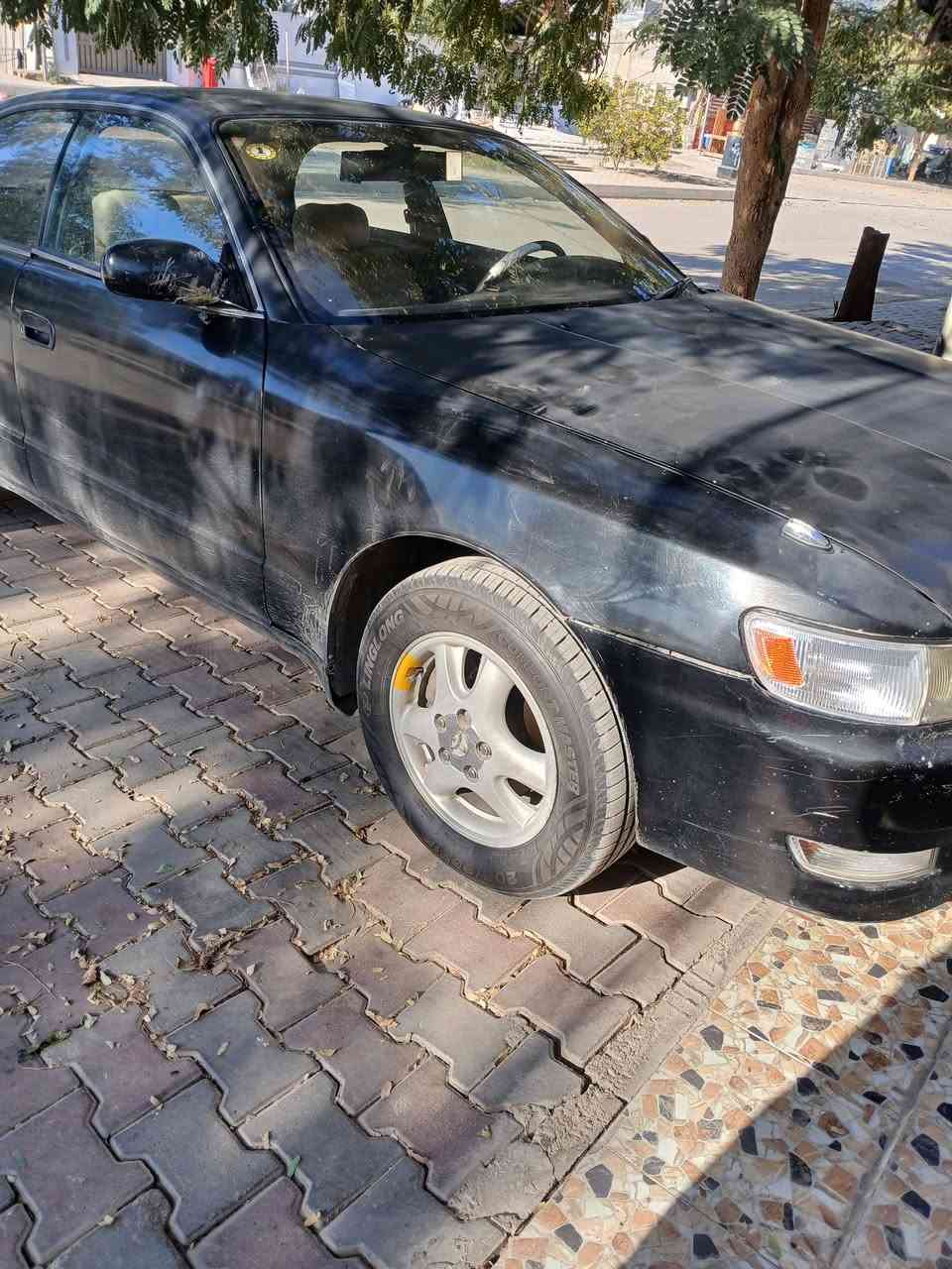 السلام عليكم ورحمة الله وبركاته  شيزر نفغ مكفول من كلشي رقم  صلاح الدين مشروع وطني تحويل 
مباشر
مكفول من  الكص  
العنوان بلد السيد محمد 
السعر ٣٠
رقم التلفون *********** الستفسار على رقم التلفون
