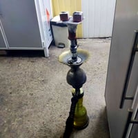 نركيلة • طه