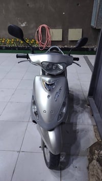 ماكس منغولي • كامله • معرض الزيتون