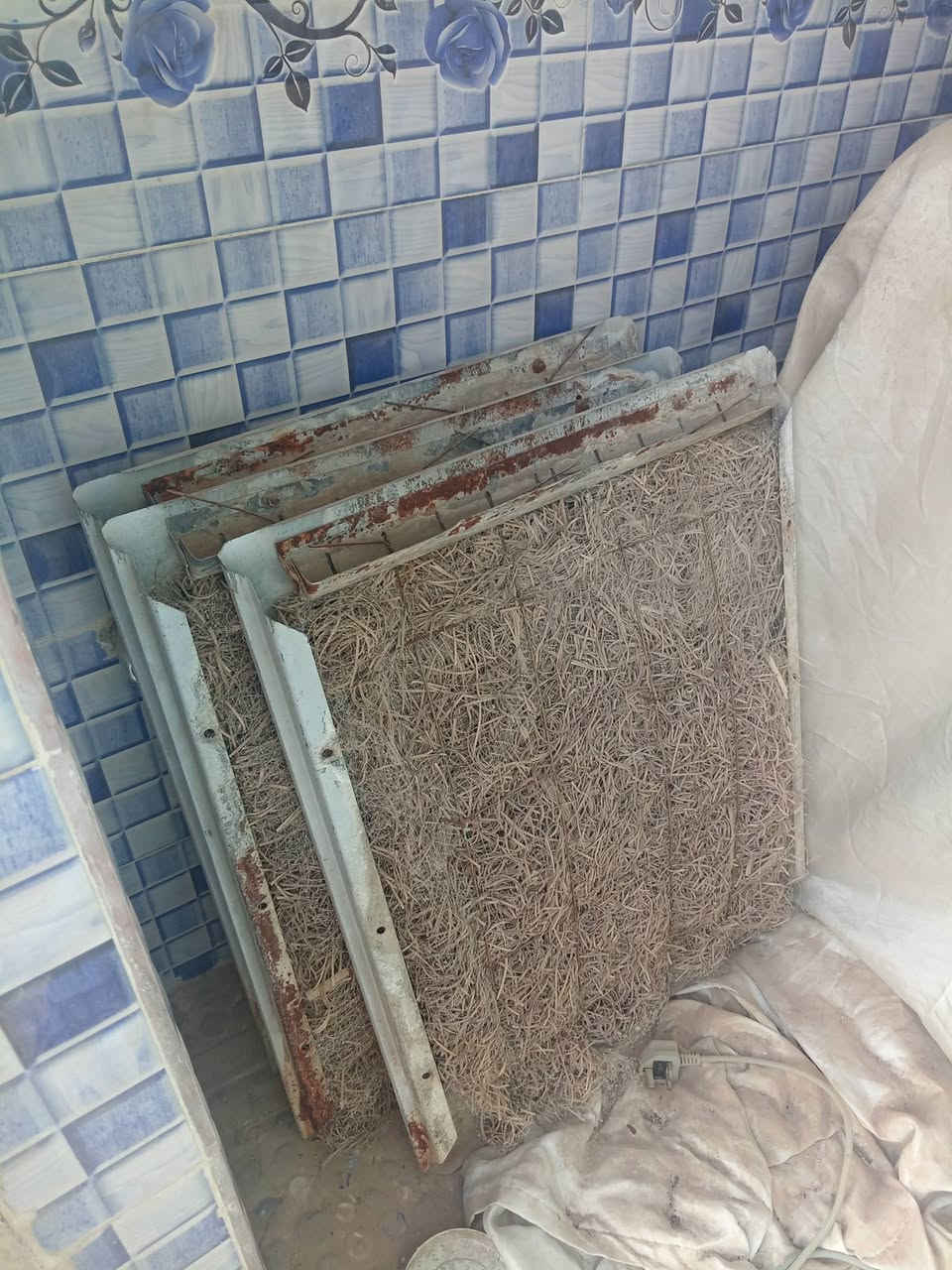 كلهن علفحص الشراي يتصل ***********
