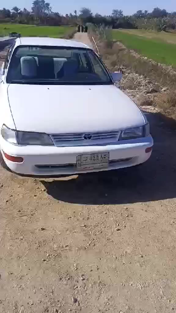 ***********السعر 50يسرى بلاد
