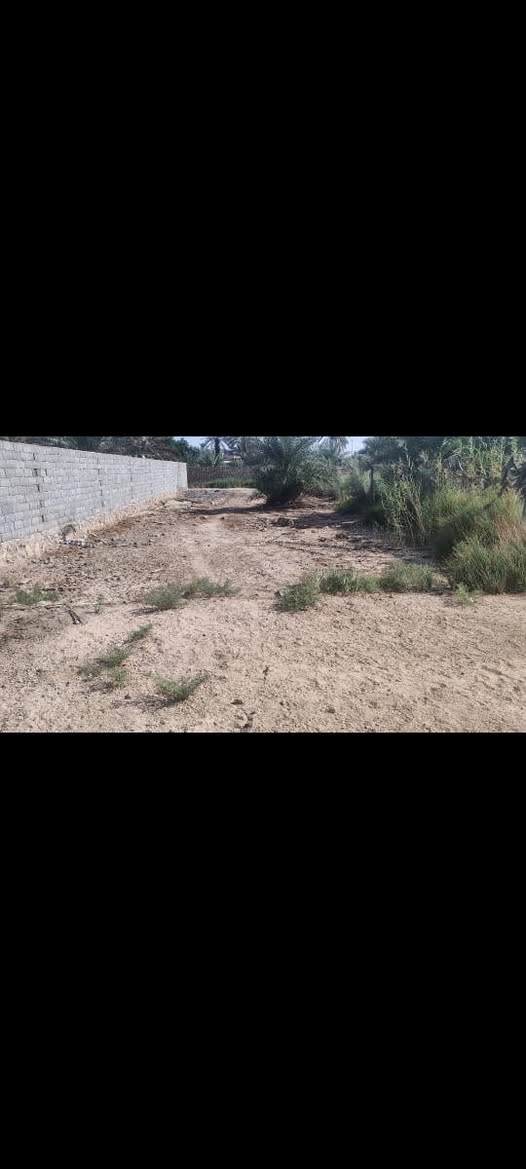 السلام عليكم
عرصه للبيع مساحه 340م زراعي سند 25 
كوفه علوه الفحل يم مشروع المي صايره على شارعين 

السعر 30وبيها مجال بســـيط للشراي 
***********
