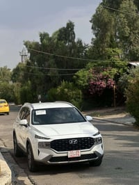 سنتاڤي ٢٠٢٣ • موصل • ماشيه ٢٠٠٠٠