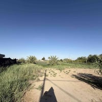 ابي غرق • ٥٠٠٠م • طابو زراعي سند ٢٥