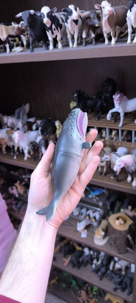 متوفر للبيع


**إذا كنت صاحب هذا الإعلان وتريد حذفه لأي سبب، رجاءا أرسل رسالة إلى الدعم الفني**