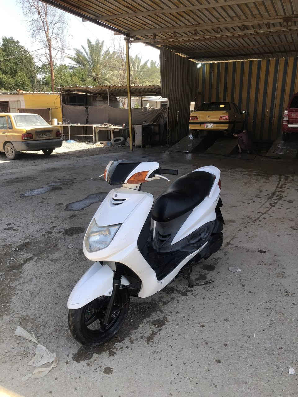 للبيع ( ما اراوس )
سكنس نثيه 
دراجه تخبل اي نقص مابيها بلاديه من التاير للتاير
گلوبات عالي ناصي كله شغال
دبل اشاره 
قفل سكان
حساسات عام كله شغال
تنزل ستنده صفح بعد ما تشتغل الدراجه 
دهن قبل 4 ايام مبدللها
كبس ما مكبوس بيها ابد قبل فتره نزلت من الرمبه
دراجه ناعمه تخبل مالها صوت تواصل واتساب او اتصال على الرقم *********** مكان حله طهمازيه
