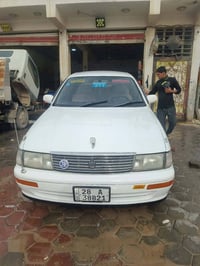 انكليزي • مكفولة • نجف