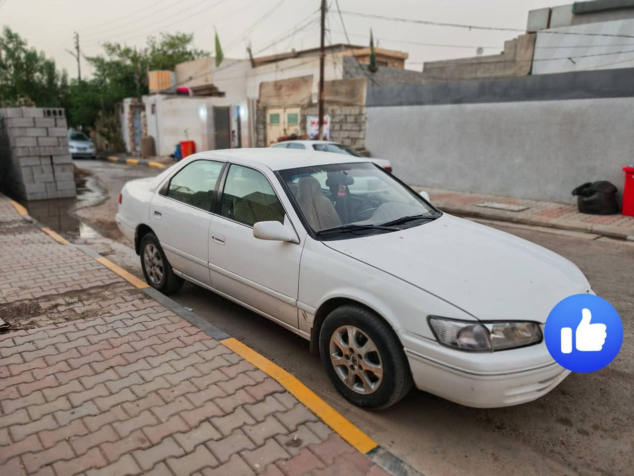 كامري 2001
رقم بابل انكليزي مشروع وطني يتحول بأي محافظة أني حولته بمحافظتي
السنوية جديدة لل2029 بأسمي تحويل ثاني يوم

بيها صبغ بس مو كلها اقل من الحزام
 بس ابيع عام السيارة صارلها24سنة بالشارع
شواصي ولغود وتكم كلهن سليمات نصبتها حداديتها خير من الله

تبريد مابيها الفان جديد والدفع مالته كلش قوي
ما اعرف شنو نقصه.
وللأمانة بيها مشكلة ماجاي أعرفها شنو  الرون يهاوز ومرات تطفي ع السلولي لذلك عليت الرون (بالبگ و بالدي يعني بالتحريكه فقط) 

أما كمشي خير من الله

صارت عليه ب78 أبيعها انقص منها فلوس محرك حتى اليجي لايكول ماداريتني وماكتلي

مكانها صلاح الدين قضاء بلد
***********
