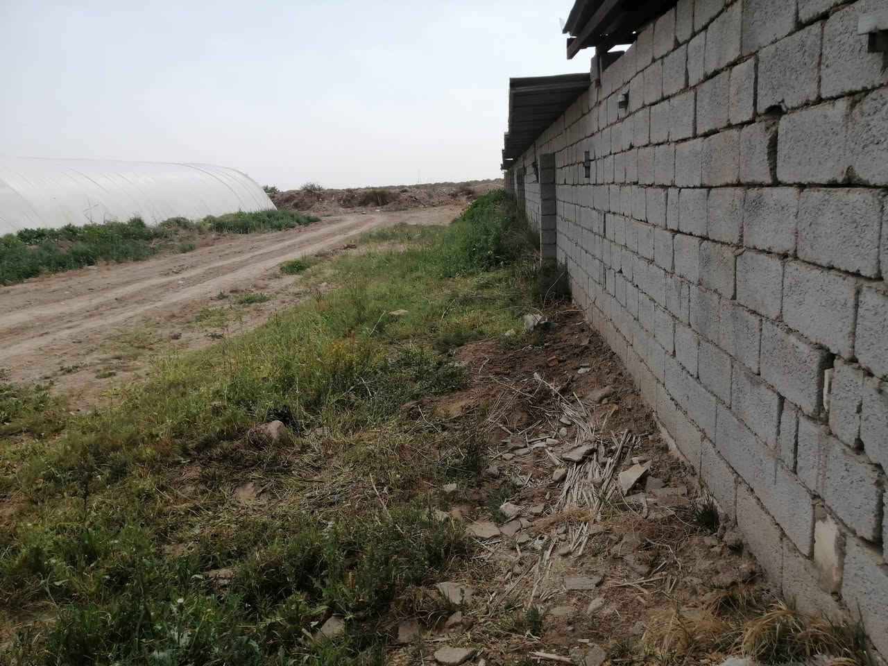 سلام عليكم حقول دواجن عدد٢ بلاستك يشيلن ١٦٠٠٠الف وياهن محصار مال عجول وبيت وياهن مال عائلة مولدات عدد اثنين ومائ وكهرباء ومناهل ومعالف كاملة بس جيب افراخ سعرهن مناسب للاستفسار الاتصال على الرقم ***********مكانهن ناصرية
